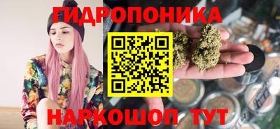 молекула духа Партизанск