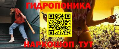 spice Пенза