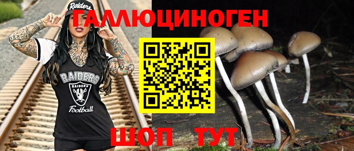 Алейск  Галлюциногенные грибы Psilocybine cubensis  Вход с VPN 